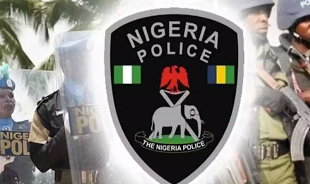 Oyo Police Parade 15 Suspects for Cultism and Firearms Offences