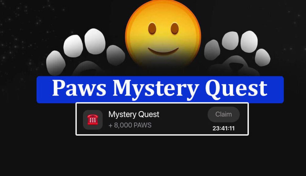 Paws Mystery Quest Today