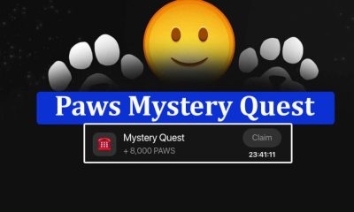 Paws Mystery Quest Today