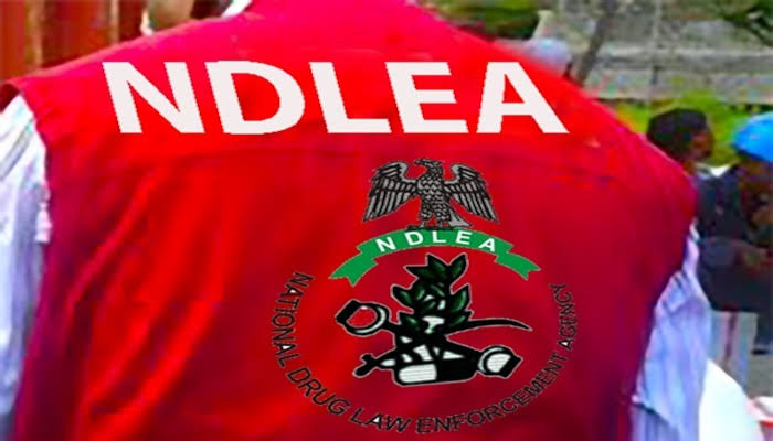 NDLEA Nabs Businessman Smuggling Cocaine for €3,000 Payout