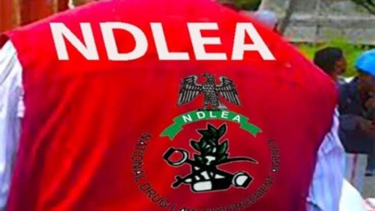 NDLEA Arrest Lagos Traditional Chief Priest Accused of Leading Trafficking Syndicate