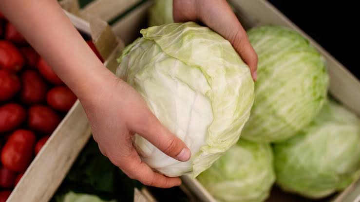 Cabbage Health Conditions