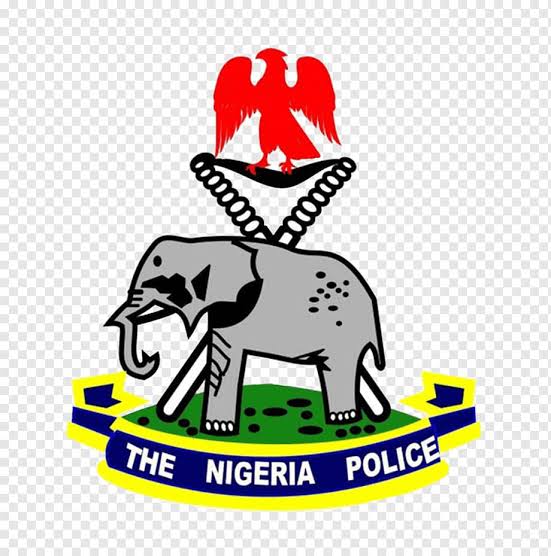 Kidnapping, Armed Robbery and Fraud Top FCT Police Command's 2024 Criminal Cases