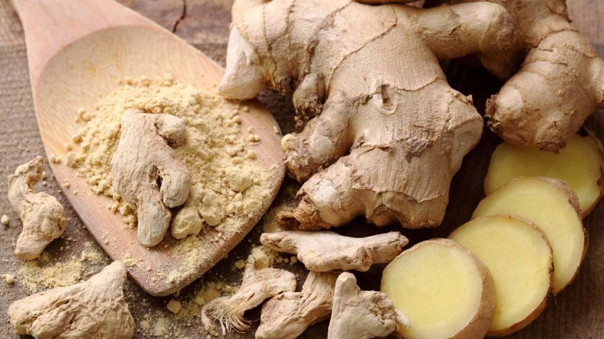 Ginger Body Pain 