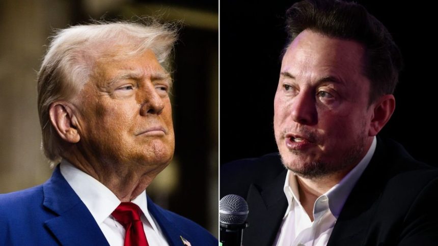 Elon Musk Steps Down from US Government