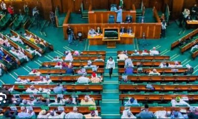 Why House of Representative Must Distance Self from Needless Controversies