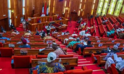 Senate Summons Security Chiefs over Alleged USAID - Boko Haram Funding Link