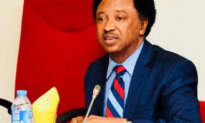 How Saraki, Ekweremadu Helped Me Escape Suspension for Revealing Senators' Allowances - Shehu Sani