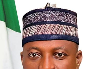 Tinubu’s Administration Prioritising Northern Development - Housing Minister