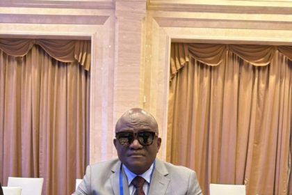 Nigerian Parliament Backs Tinubu’s Reforms, Woos Investors at Global South Summit