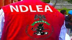 NDLEA Commander Found Dead in Calabar Hotel