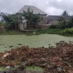 Man Found Dead in Lagos Badagry Pond