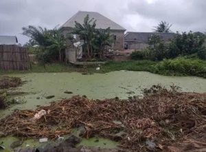 Man Found Dead in Lagos Badagry Pond