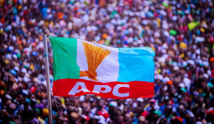 Opposition Mocked Tinubu's Reforms, Numbers Prove Them Wrong - Lagos APC