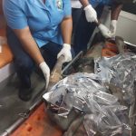 Six Rescued as Two-Storey Building Collapses in Lagos Omotosho