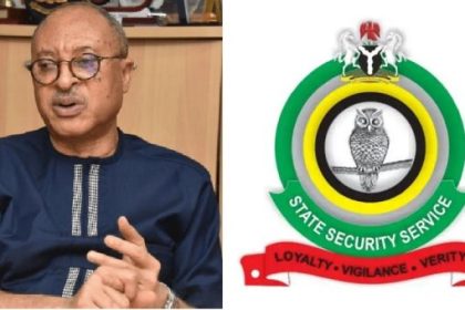 Pat Utomi’s ‘Shadow Cabinet’
