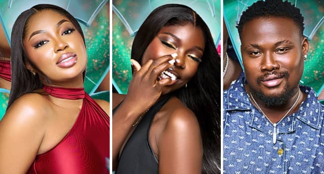 ‎BBNaija Sets New Milestone with Official 'Top 10' After Triple Exit