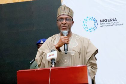 Nigeria, Brazil to Expand Climate Collaboration at COP30 - Lawal