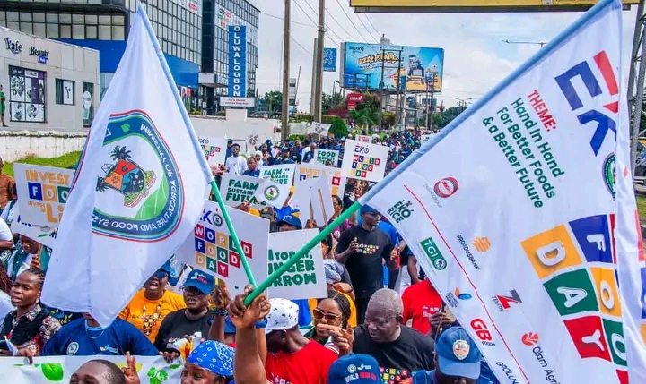 Lagos Launches Activities to Promote Food Security, Agricultural Growth