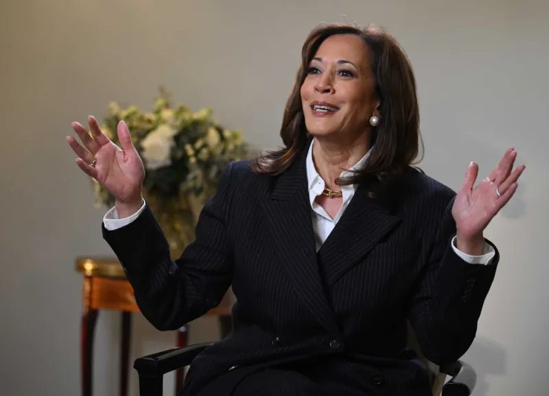 Kamala Harris Says She May Run for President Again