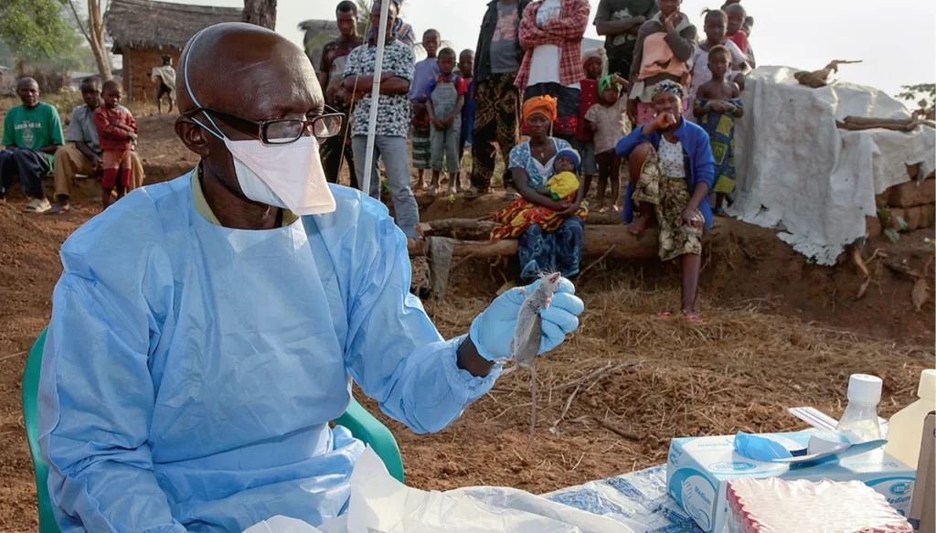 Lassa Fever Kills 172 in Nigeria