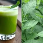 Bitter Leaf for Blood Sugar