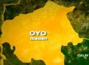 Gunmen Attack Old Oyo National Park