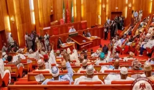 ASUU Strike: Senate to Meet Education Minister, NUC Boss on Tuesday