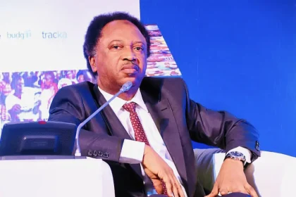 ‘If Tinubu Fails, His Successor Will Struggle’ - Shehu Sani