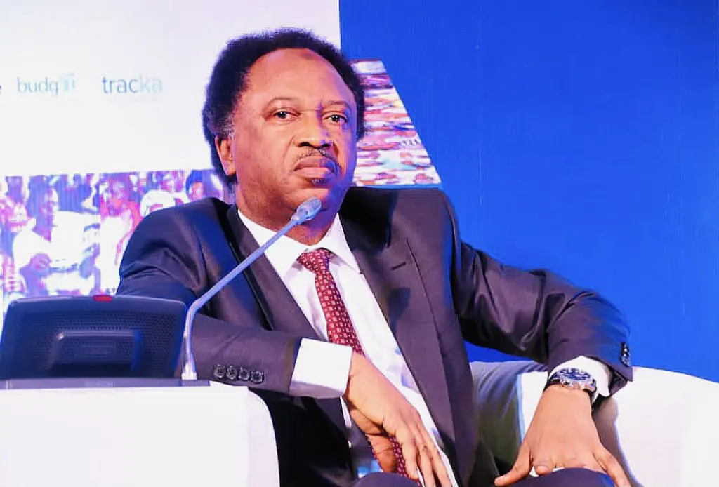 ‘If Tinubu Fails, His Successor Will Struggle’ - Shehu Sani