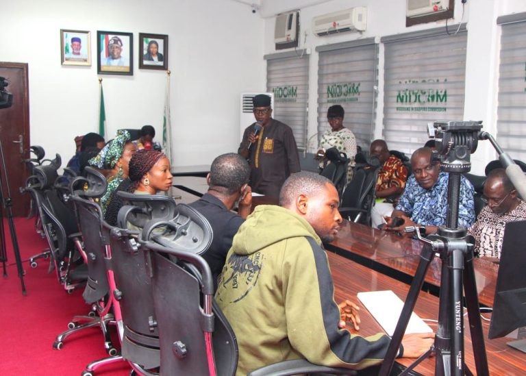 Dabiri-Erewa Urges Nigerians Abroad To Invest In Home Economy 