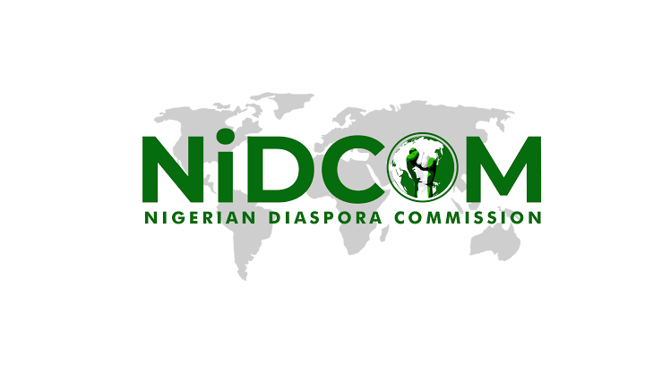 NiDCOM Condemns Alleged S3xual Abuse of Nigerian Girls in Indian Deportation Camps