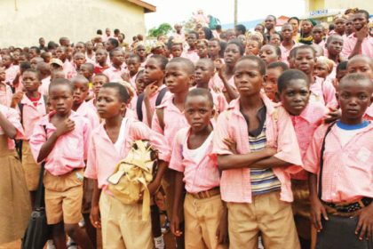 24 Million Pupils Missing Between Primary, Secondary Levels - Tunji Alausa