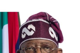 Ogoni, Rights Groups Commend Tinubu, Demand Transparency Before Oil Resumption