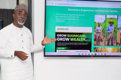 Nigeria Launches Sugarcane Outgrower Development Programme to Boost Local Sugar Production