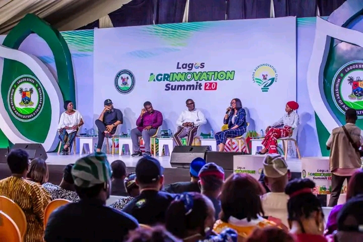 33 Young Agripreneurs Honoured With ₦150m as Lagos Pushes Modern Agriculture Agenda
