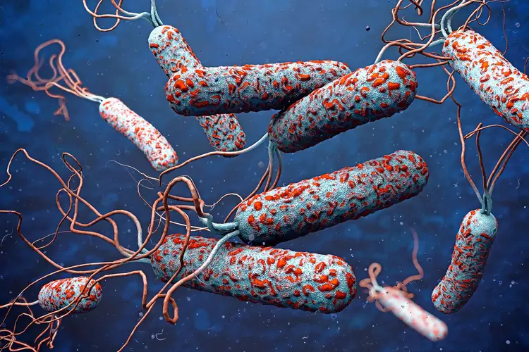 Lagos Warns Residents as Cholera Cases Rise, Launches Fresh Sensitisation Programme