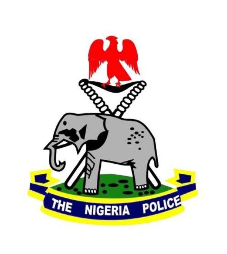 Police Secure Conviction of Nigerian Fraudster Over $1 Million Oil Scam