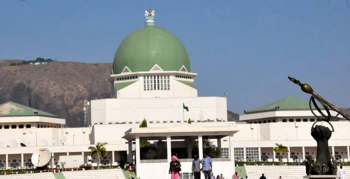 Youth Group Pressures NASS on Urgent Electoral Reforms