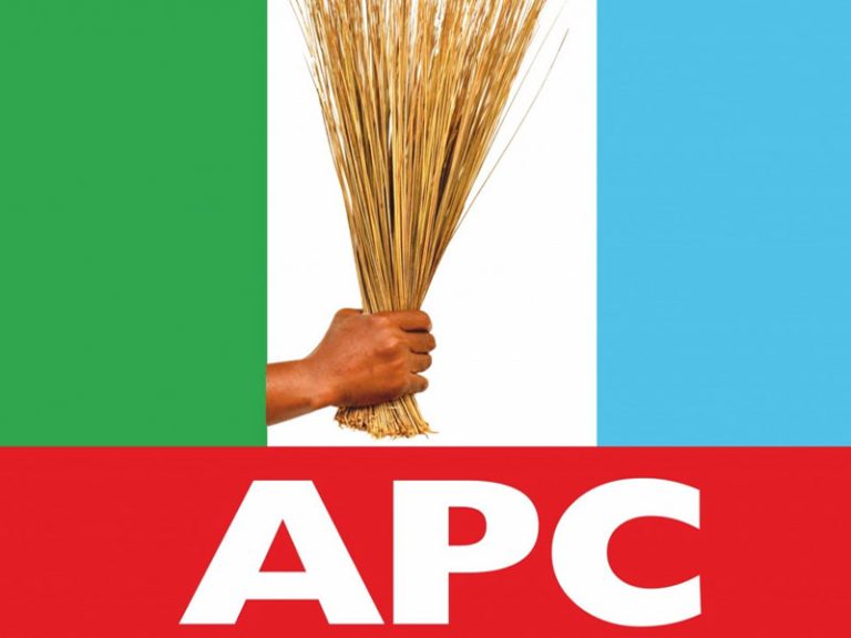 APC Youths Reject ‘Coalition’, Back Tinubu’s Minister
