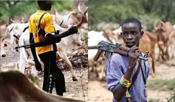 Herders Suffer Attacks - Fulani