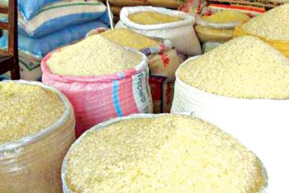 Rice