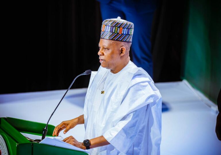 Tinubu Seeks Global Support for Nature Protection, Climate Resilience