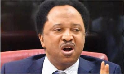 Shehu Sani Rejects Foreign Military Intervention