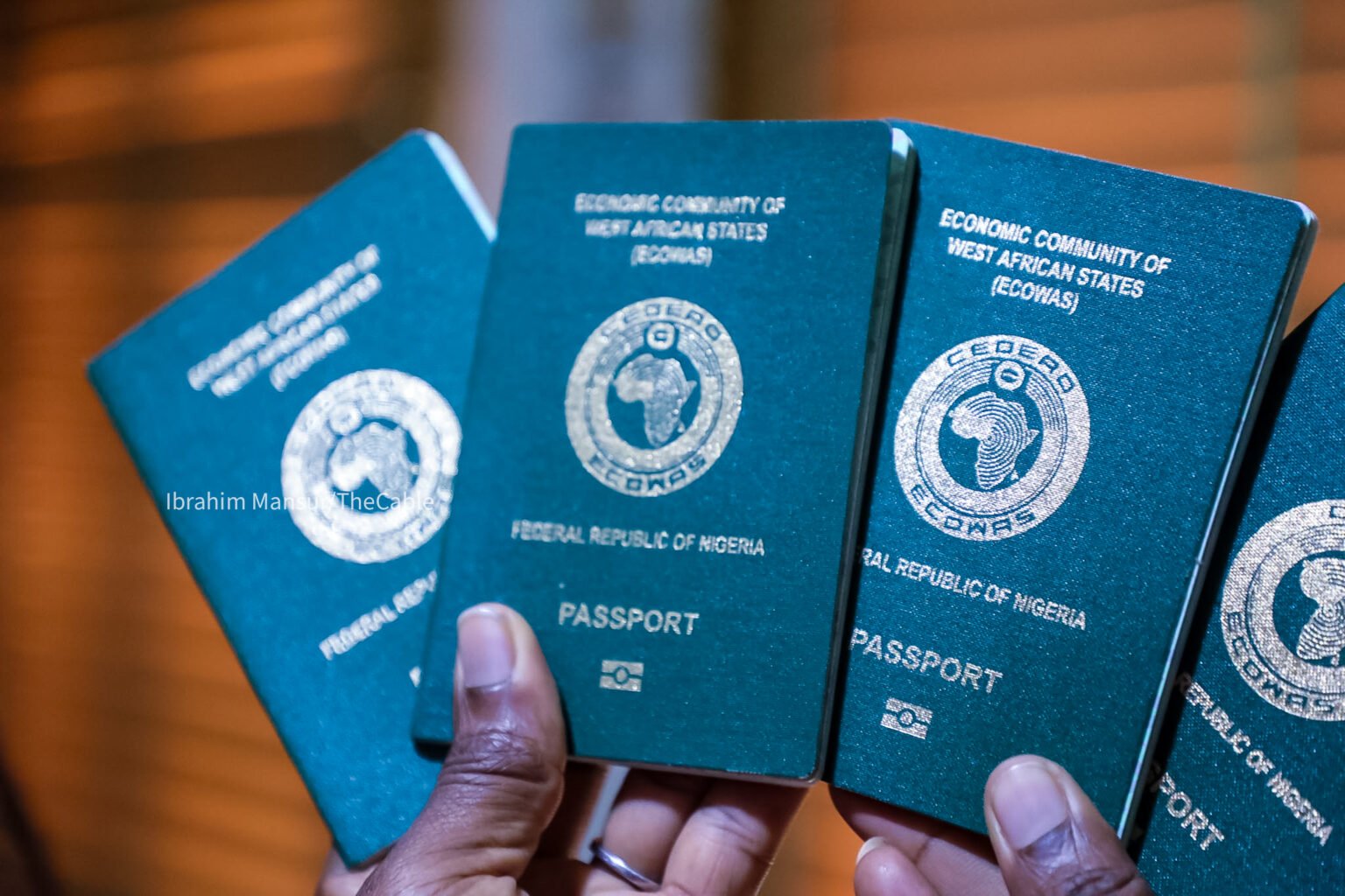 Nigerian passport (Photo: TheCable)