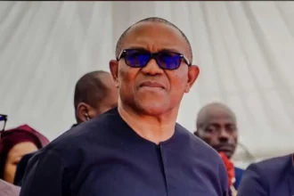 Labour Party Rules Out Automatic Ticket for Peter Obi