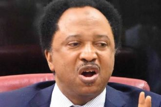 Shehu Sani Urges Middle-Aged Nigerians to Join Active Politics