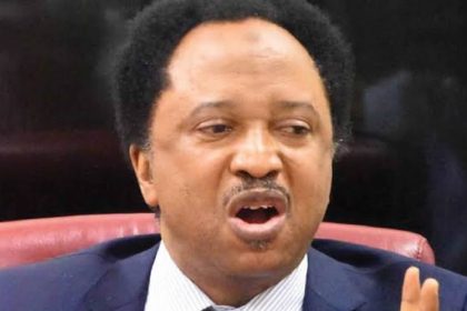 Shehu Sani Urges Middle-Aged Nigerians to Join Active Politics