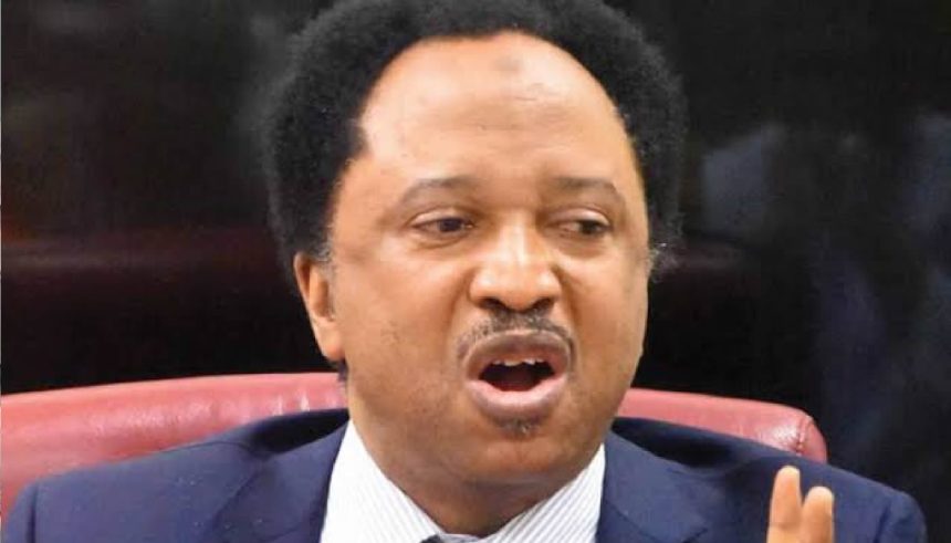 Shehu Sani Urges Middle-Aged Nigerians to Join Active Politics