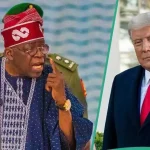 Nigeria Dismisses Trump’s Military Threat, Says Constitution Forbids Religious Persecution